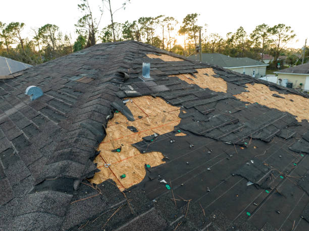 Best Commercial Roofing Services  in Blue Mound, TX